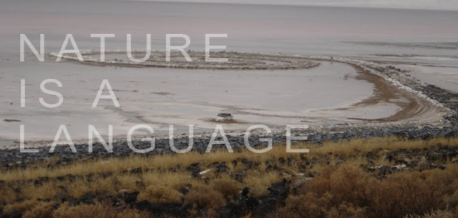 Nature is a Language