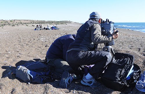 documentalistas en el canal de ataque esperando las orcas El canal de Ataque de Punta Norte - La meca para los fotógrafos de vida salvaje