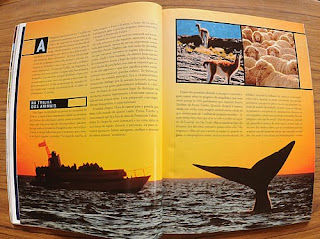 Artículo de Península Valdés en Revista Viagem  - La Patagonia se promueve con el avistaje de ballenas en Brasil
