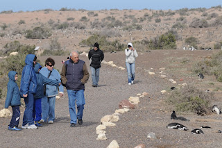 Punta Tombo - El grupo de Guardafaunas cuidando y manteniendo la Pingüinera