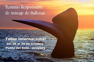 Turismo Responsable de Avistaje de Ballenas - Mesa Redonda en Punta del Este Uruguay