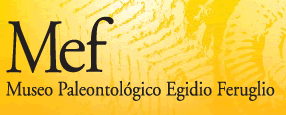 MEF - Museo Paleontológico Egido Feruglio en Trelew