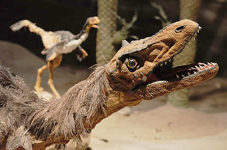 MEF - Museo Paleontológico Egidio Feruglio en Trelew