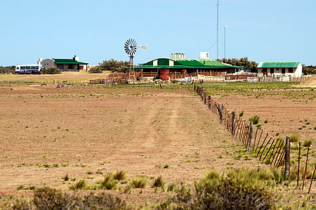 Pingüinos en Península Valdés Estancia San Lorenzo, mas cerca que Punta Tombo