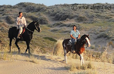 Cabalgatas en Puerto Pirámides una propuesta Amigable con la Naturaleza Cabalgatas en Puerto Pirámides una propuesta Amigable con la Naturaleza