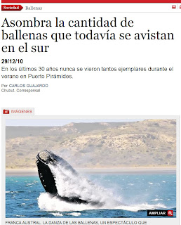 Asombra la cantidad de ballenas que todavía se avistan desde <a href=