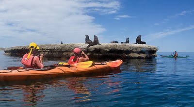 Kayak a la lobería de Puerto Pirámides con Pablo Passera Kayak a la lobería de Puerto Pirámides con Pablo Passera