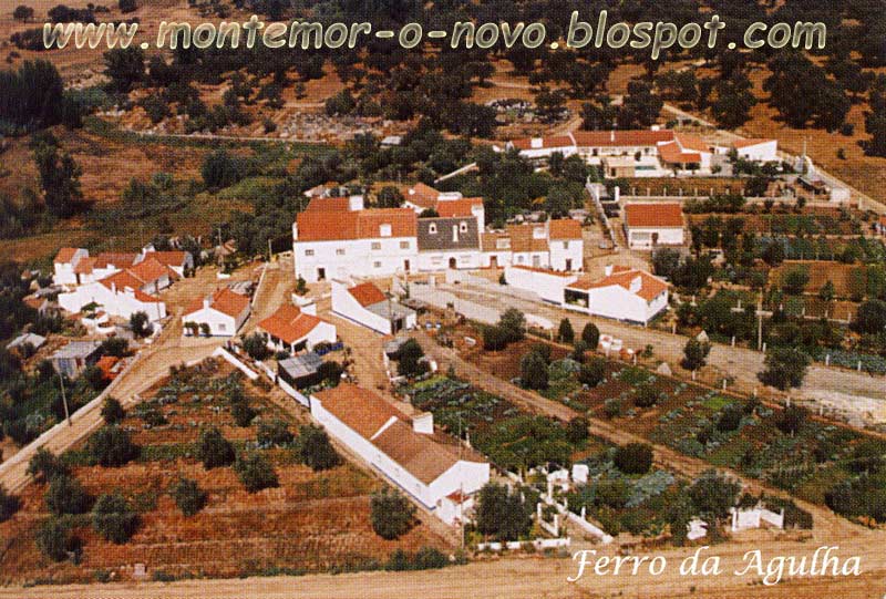 [Ferro-da-Agulha.jpg]