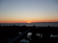Edisto Beach at Sunset