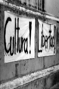 Para nosotros la cultura es...