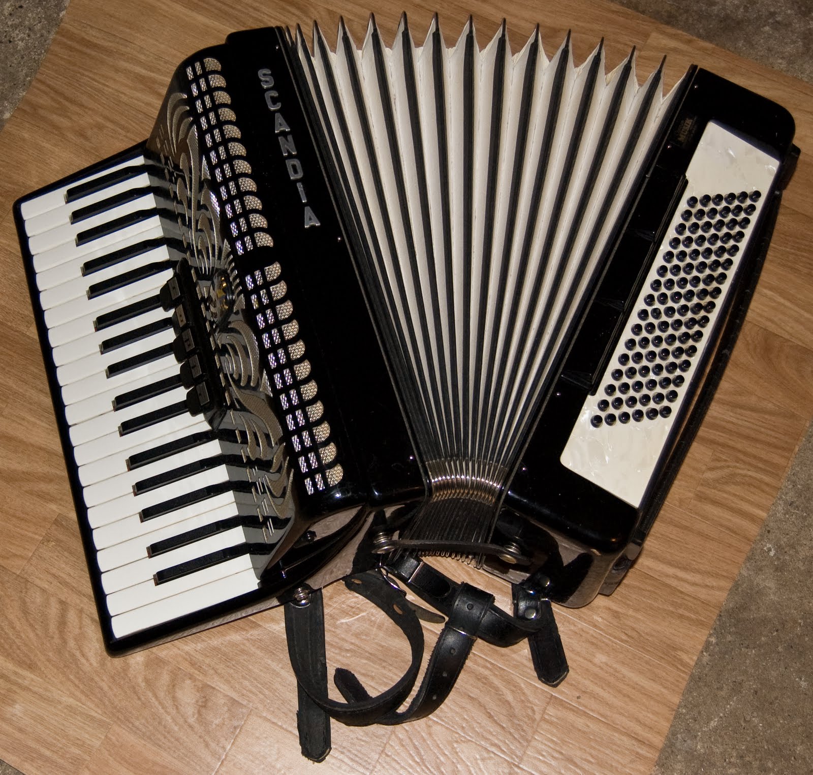 Fogelson Library JUNE IS NATIONAL ACCORDION AWARENESS MONTH fogelson-library-june-is-national-accordion-awareness-month