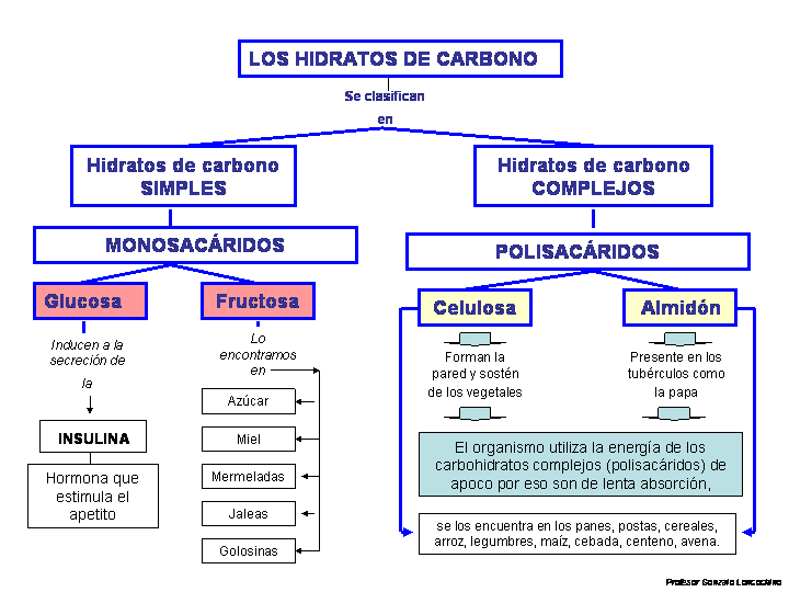 Cetosis hidratos diarios