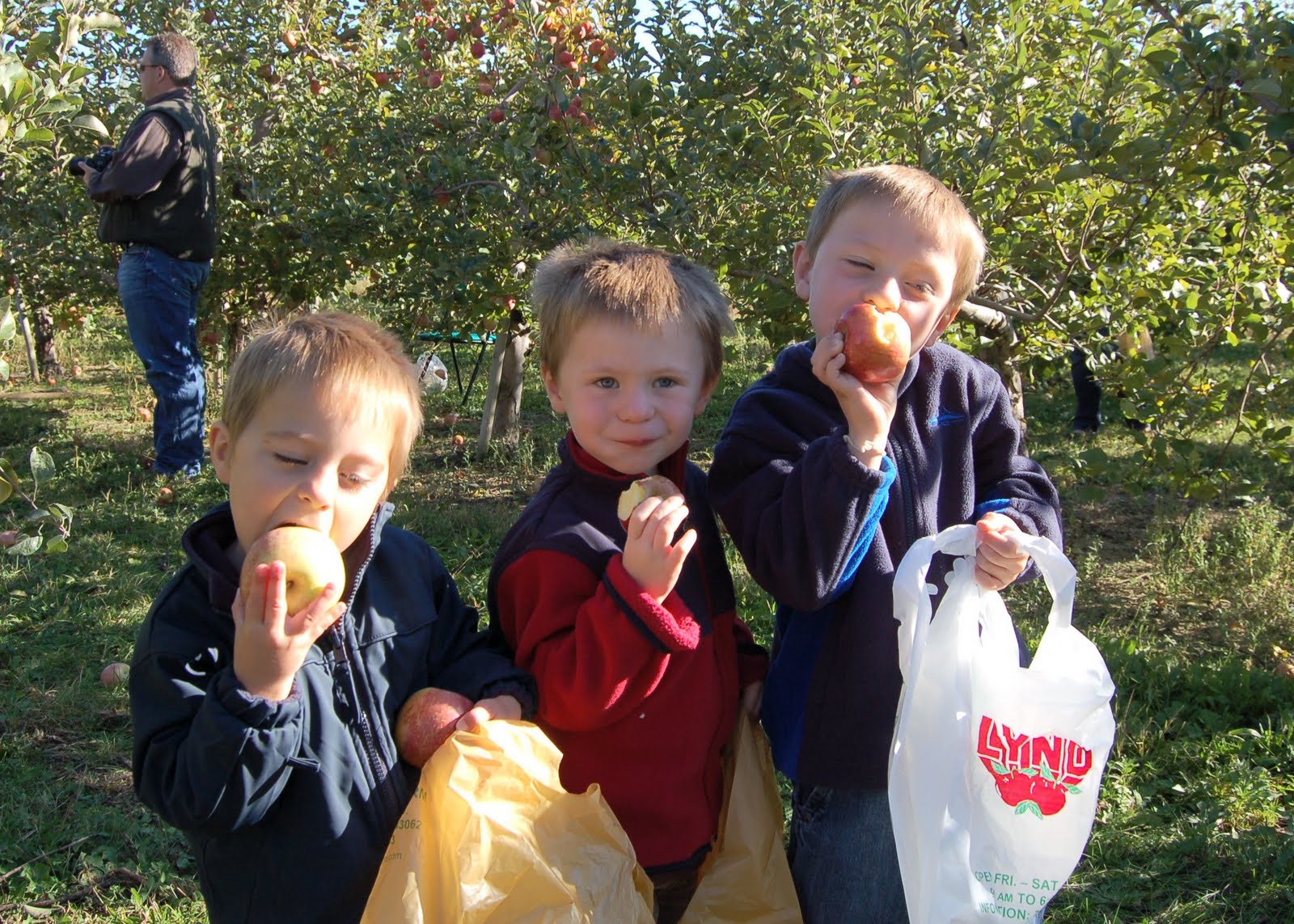 the-moores-six-apple-picking-and-the-making-of-a-man