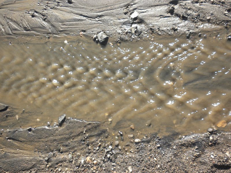 biostatprof: Patterns created by running water: Mud waves and water waves