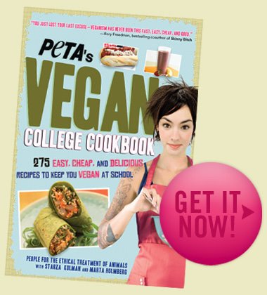 [btn-get-it-now-over.jpg]