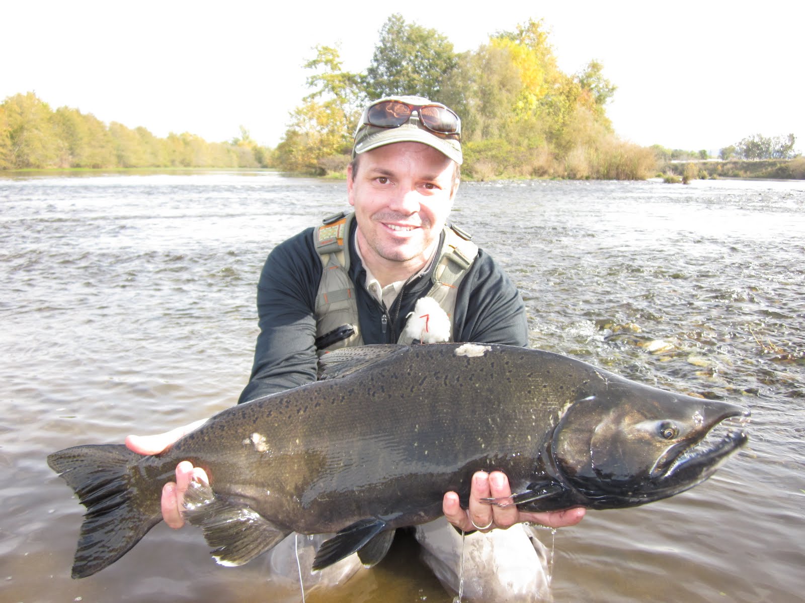 Tucker family blog Fly fishing on the Feather river