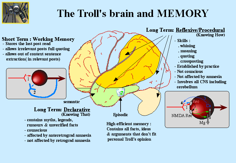 Troll%27s%2520Brain%2520and%2520memory.gif