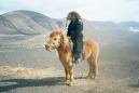 Mongol on horseback