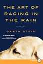 The Art of Racing In The Rain