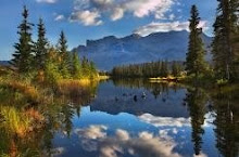 Reflection
