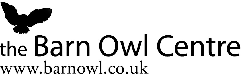 Barn Owl Centre