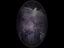 Luz para las Naciones Internacional