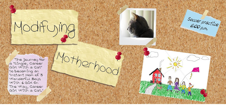 Modifying Motherhood