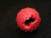 TOY RECALL!Pimple Ball with Bell by Four Paws