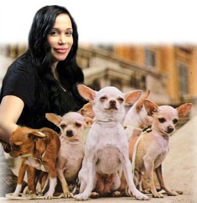 Nadya Suleman with a litter of chihuahuas