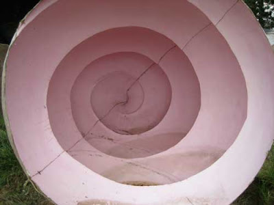 Pink pattern that looks like the inside of a shell