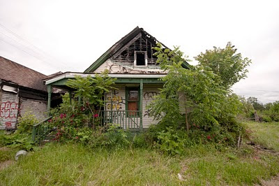 One story house overgrown