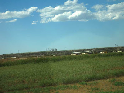Green grass in foreground with expanse of animals along the horizon behind a fence