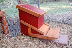 chicken coop feeder