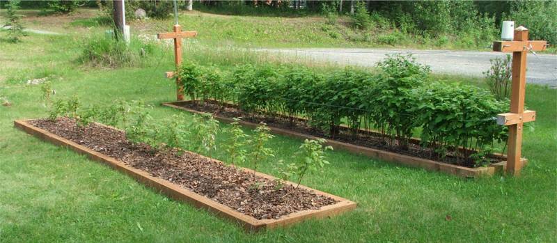 Raspberry Red Raised Beds
