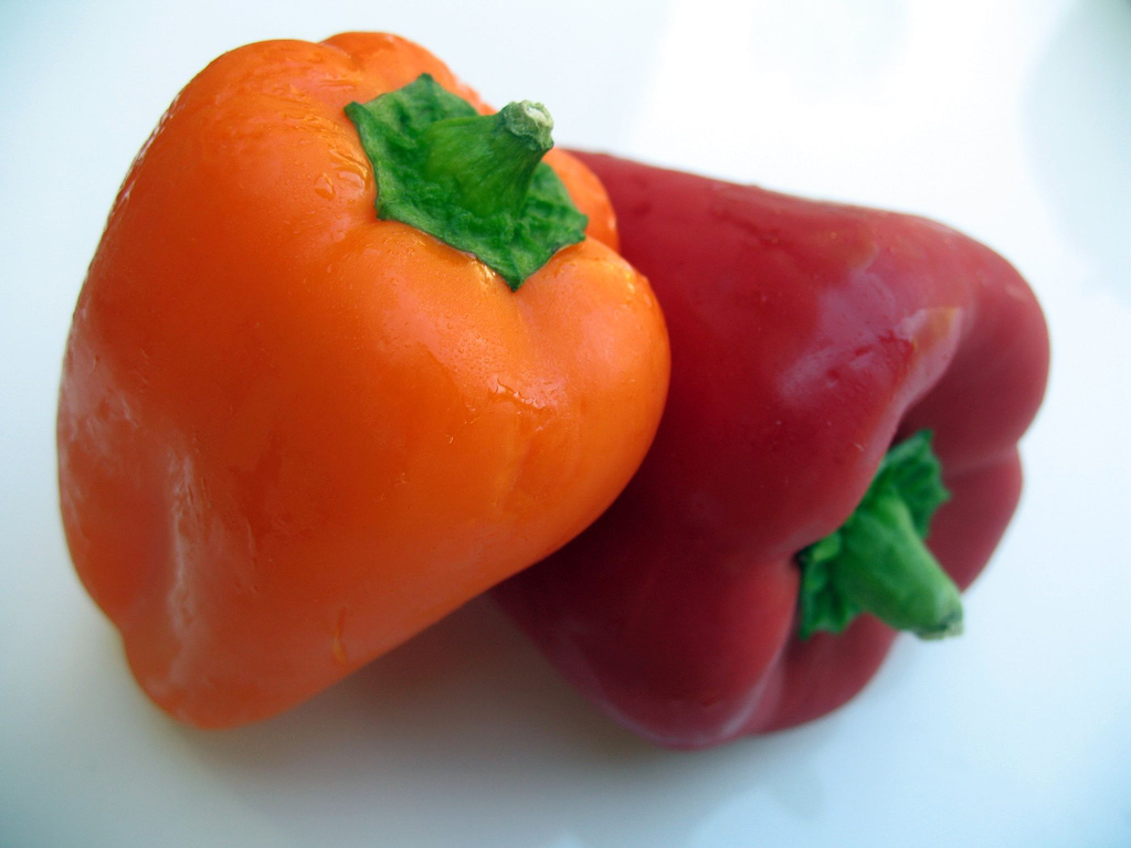 [294219378_738763bf05_b.jpg]