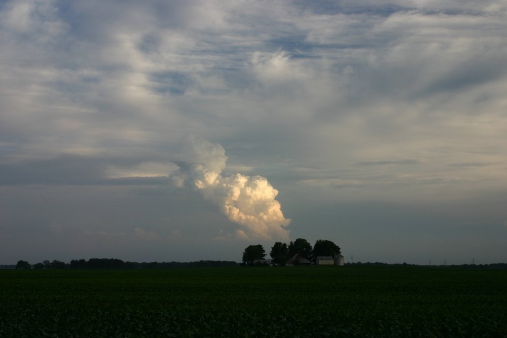 [IMG_3781_3.JPG]