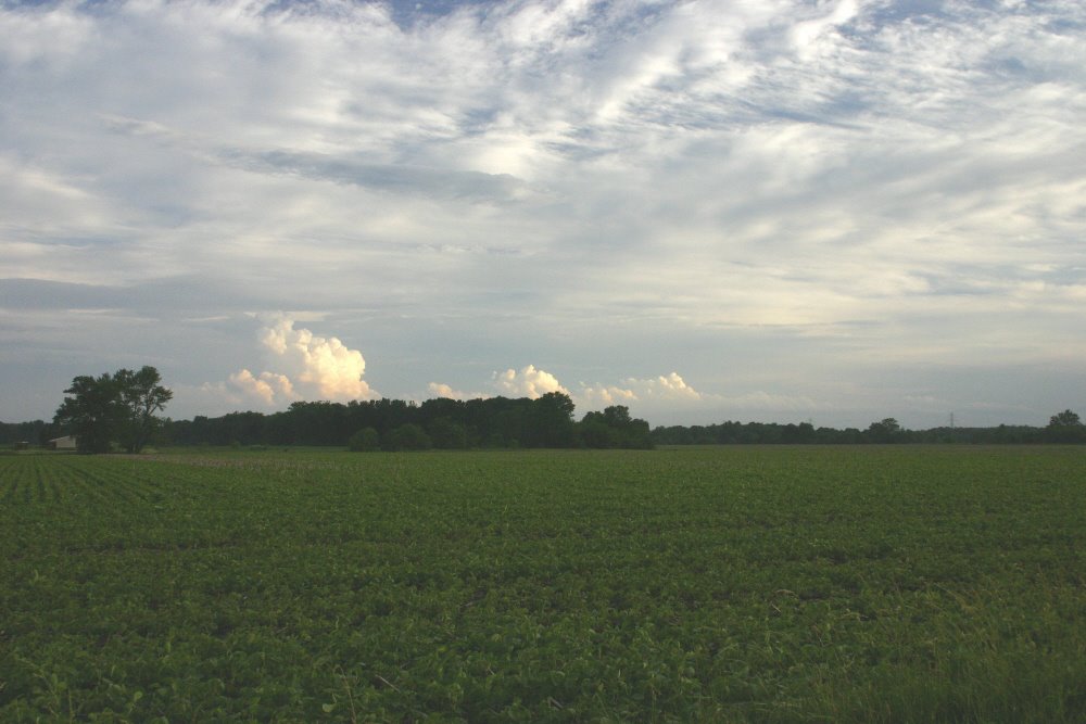 [IMG_3773_4.JPG]