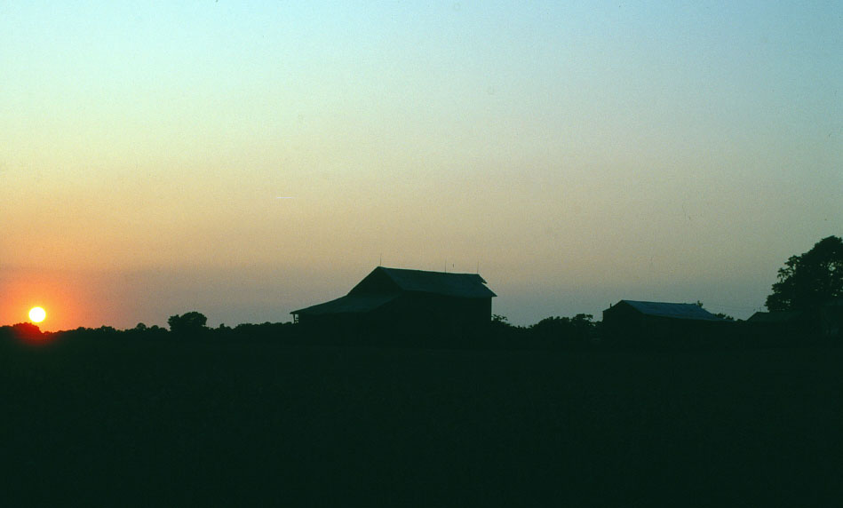 [farm+silhouette+sunset_94_1_1.jpg]