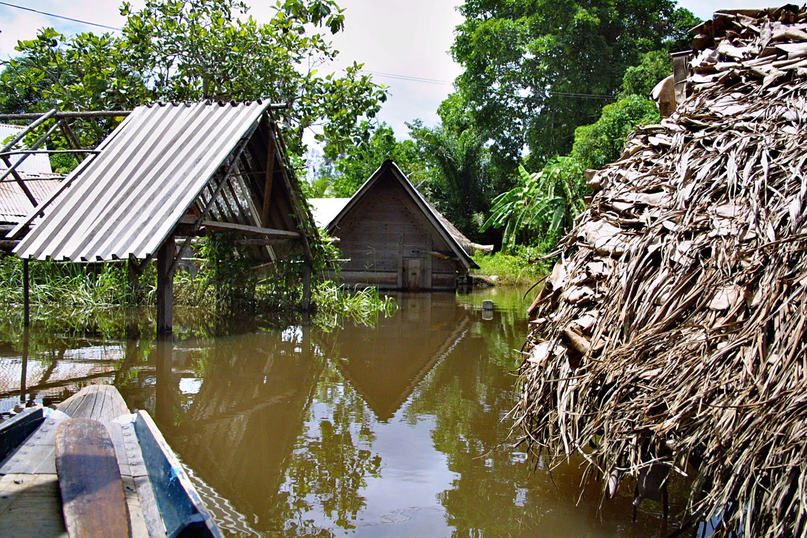 Warm of Koud? Klimaatverandering in Suriname Warm of Koud? Klimaatverandering in Suriname
