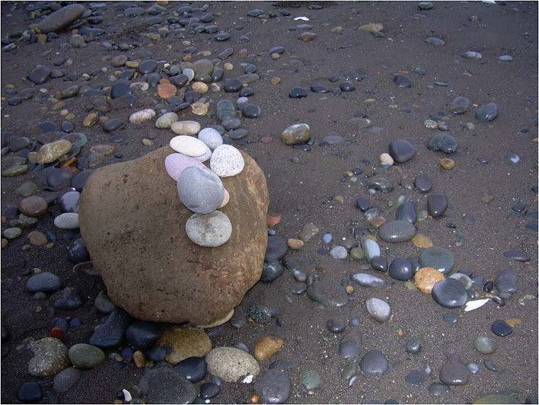 Piedras en la Playa