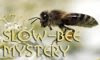 Slow Bee MysterieKlubb