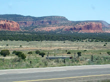New Mexico's