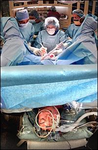 [ts-marci+bowers+at+work1.jpg]