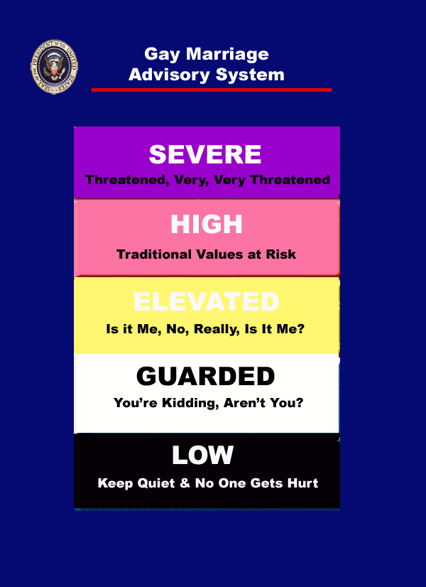 [gay+marriage+advisory+system.gif]