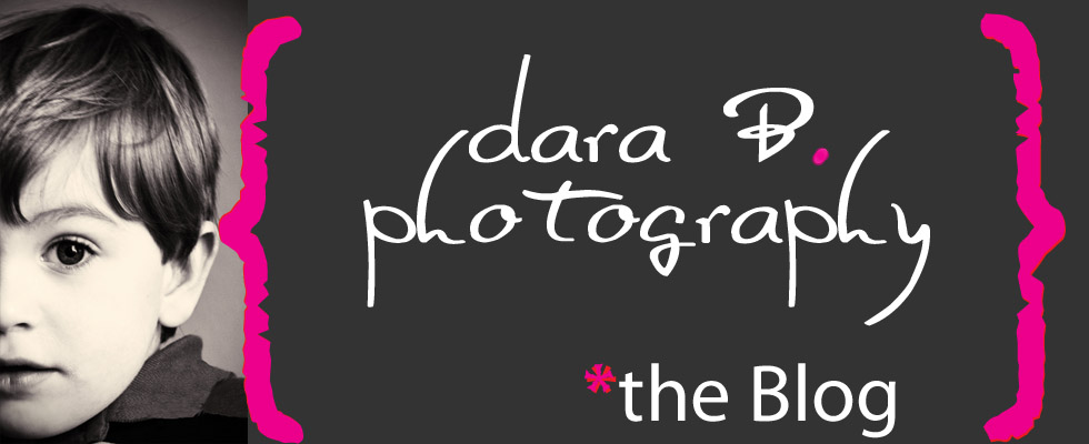 dara b. photography