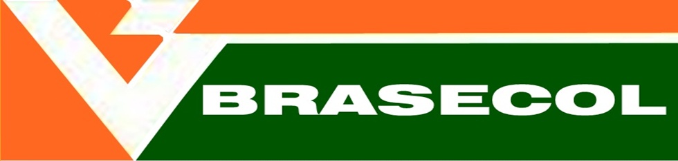 ESTACA RAIZ