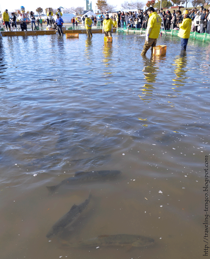 Traveling around Misawa, Japan Shimoda Salmon Festival in Oirase