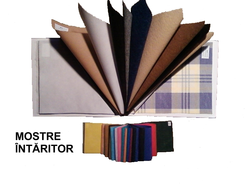 [INTARITOR+PRELUCRAT+SCRIS.jpg]