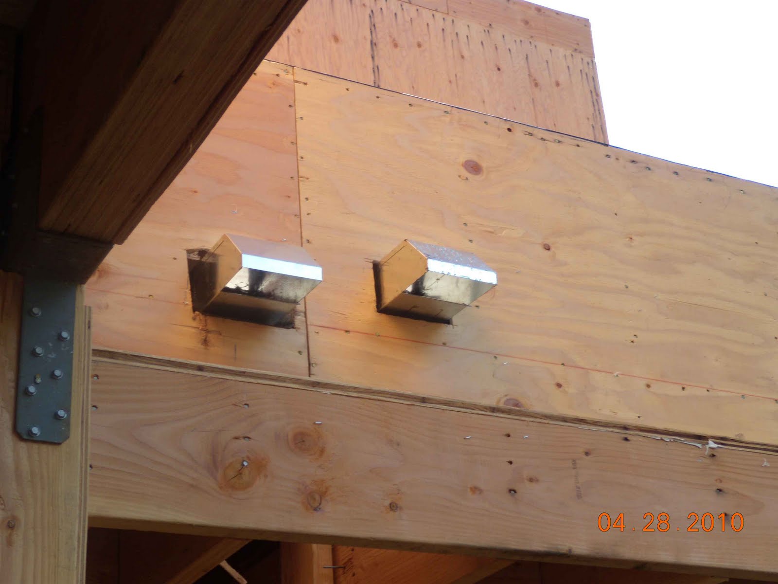 nobhillhaus: Oh Scupper, my scupper