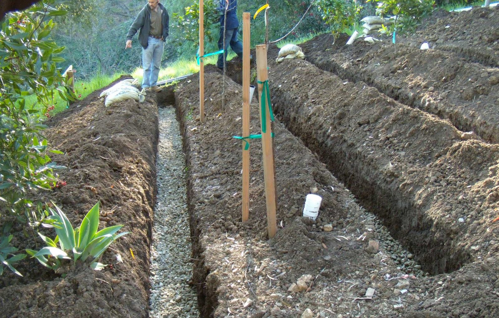 nobhillhaus February 2011